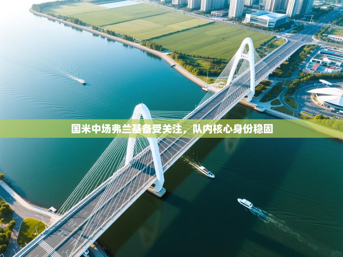 国米中场弗兰基备受关注，队内核心身份稳固  第1张